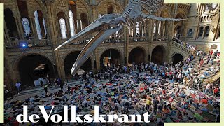 Die-in onder de blauwe vinvis - toch blijft de zon favoriet -Aarsman Collectie