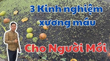 Vốn ít: Khởi nghiệp ốc cần bao nhiêu tiền? Những câu hỏi của người mới nuôi ốc.
