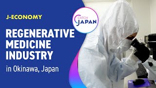 Medicine and Tourism Synergy in Okinawa, Japan by JIBTV - Japan International Broadcasting 64 views 1 month ago 6 minutes, 30 seconds