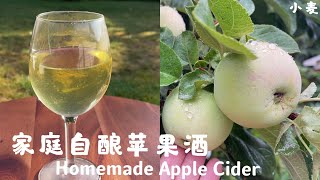 苹果酒 - 家庭自酿，从后院的树上到瓶里 homemade apple cider (Eng Sub)