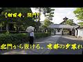 京都相国寺｜【閉門直前の相国寺】北門から抜ける、静寂の京都。【京都の終わり方が美しい】閉門時間。