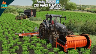 Spreading slurry with pipes in The White Farm map of Farming Simulator 22