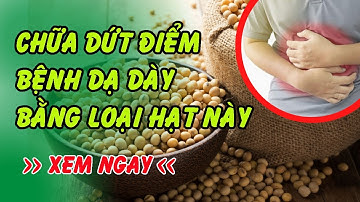 Hạt đậu rồng - Điều trị bệnh đau dạ dày cực đơn giản và dễ thực hiện