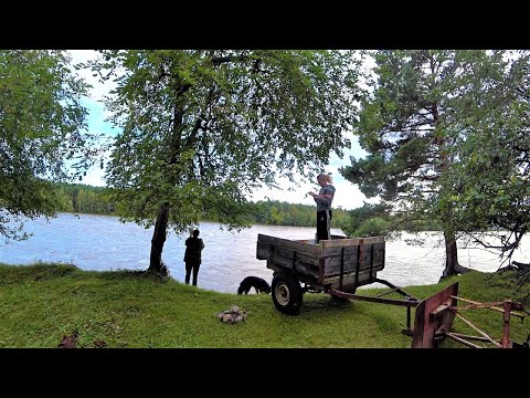 Еще не осень, но уже не лето Дела домашние и поездки в лес