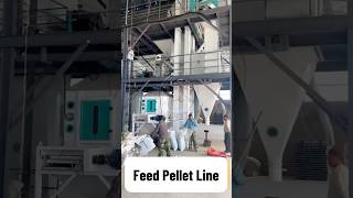 Fully Automatic 5-7T/H Feed Pellet Production Line Manufacturer - Herm Machinery #poultryfeedmachine