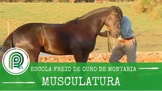 Tirar pescoço cavalo charley como um do