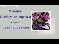 Фиалки. Продолжение эксперимента. Сорта любимчики и сорта- разочарование.