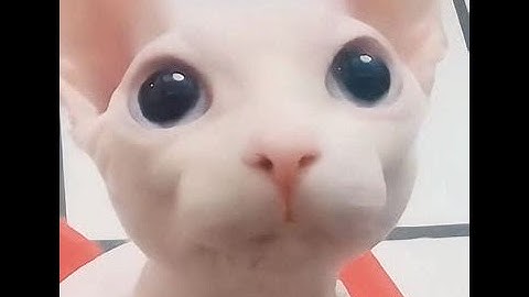 (LIVE) Idle Dice 2 Playthrough (100%) (Lore)