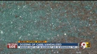Dozens of cars vandalized in Springfield Township