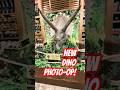 NEW Jurassic Park Photo Op With Movie Used Triceratops! - Islands of Adventure