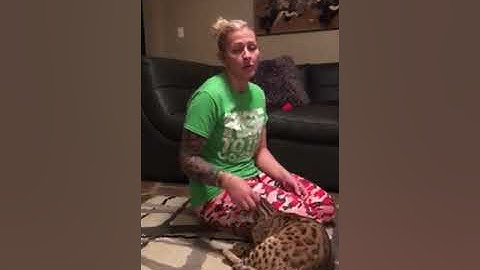 Day 16 of my 22 day push up challenge