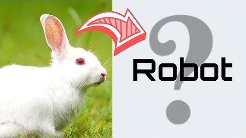 How assemble and program Rabbit-bot in ROGIC |  DIY Rabbit-bot |[RoboRobo Kit Level 1] RABBIT BOT