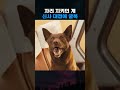 아무도 못 비키게 하던 개가 그녀에게 자리를 내준 이유 thumbnail