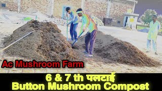 Button Mushroom Compost (6 & 7 पलटाई ) AC Mushroom Farming @RuralStory