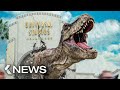 Jurassic World 3, Godzilla vs Kong, Devolution, Matrix 4... KinoCheck News