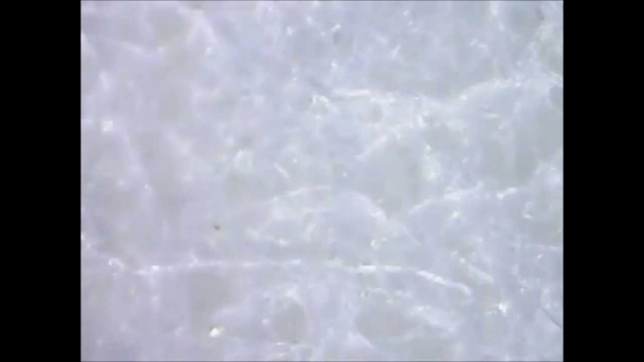 Tea Bag Paper Under a Microscope YouTube