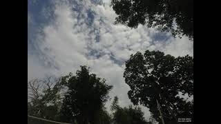 Danza de nubes