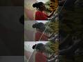 Nikon and Red LUT color grade #video #davinceresolve #video #music #photo
