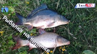 Fishing on the home artificial pond. Fishing on Copanca.