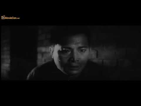 아카시아 꽃잎 필 때(When Acacias Bloom) - 1부