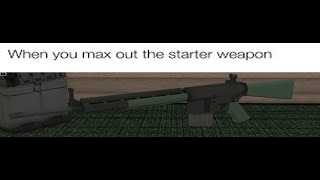 When you max out the starter weapon (mk11 edition)