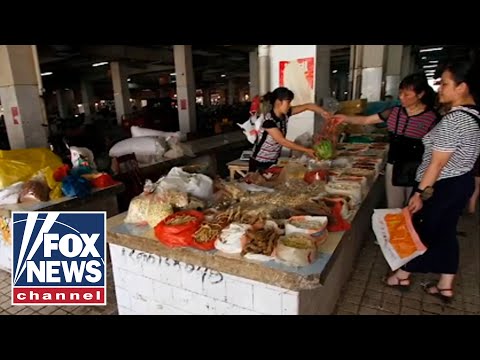 'Wet markets' reopening across China: Report