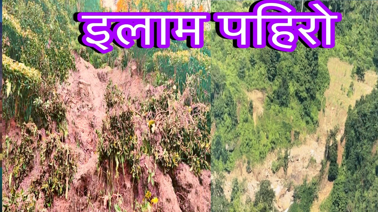 नेपाल इलाममा पहिरोले छेति पुराएका ठाउॅ || Ilam Ma Pahirole Bigareko Thau 
