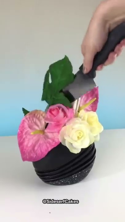 Let’s Play CAKE or FAKE!