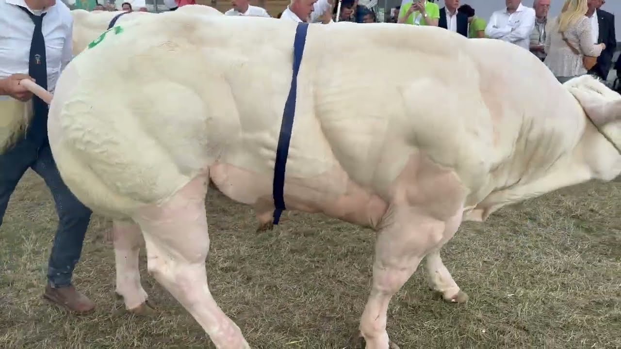 NATIONAL LIBRAMONT 2023