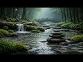 竹林の水音 静寂に包まれる癒しの時間