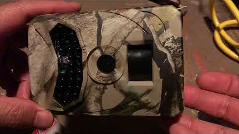 Trail camera not working.