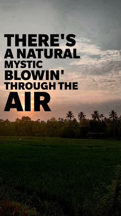 Bob Marley song lyric whatsup status free download