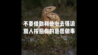 201808 不要借助利他心去强迫别人按照你的意愿做事50679