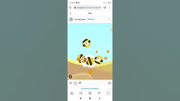 Evo Pop - Zeptolab reveals new Bee Evo gameplay!