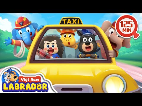 🚖 Chuyến taxi an toàn 🚕 An toàn khi đi xe taxi 👮 Cảnh sát trưởng Labrador Vietnam 🚔