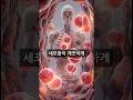 회춘의 비밀! '이것' 한 스푼이 노화 세포 청소하는 충격 과정