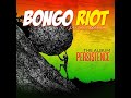 Bongo Riot - Ezantsuku