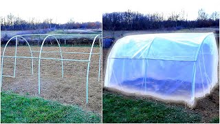 How to Make a LowCost Vegetable and Fruit Garden!