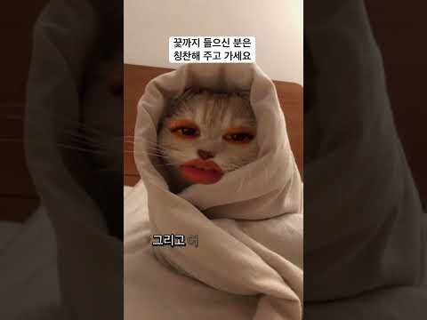 폰바꾼 거 말고 5년 쓴 거 자랑임