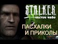 Вторая подборка пасхалок и багов S.T.A.L.K.E.R.: Чистое Небо