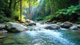 Fall Asleep Deep – River Sound in Forest – Anxiety Relief