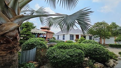 🛑CẦN BÁN GẤP! NHÀ VƯỜN NGHỈ DƯỠNG 3000m2 Giảm SỐC | TẶNG FULL NỘI THẤT | CẦN ĐƯỚC LONG AN GẦN TPHCM