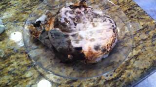 HOW TO GET RID OF BAD SMELLS & GET ODORS OUT - THE OZONE GENERATOR