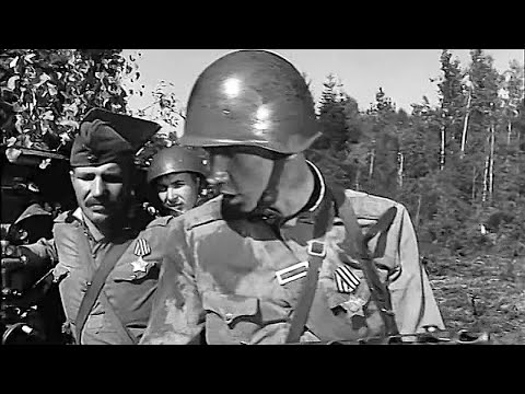 Видео: Желаю удачи 1968