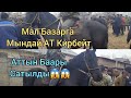 Ноокат Мал Базар ЖЫЛКЫ базар Кызыды /Тай /Бээ/ Байтал/ Аттар