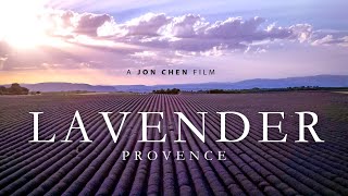 Lavender FIelds 4K Drone, Provence France