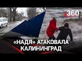 Сорванные крыши и поваленные деревья: "Надя" устроила погром в Калининграде
