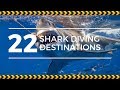 Top 22 Scuba Destinations for Shark Diving