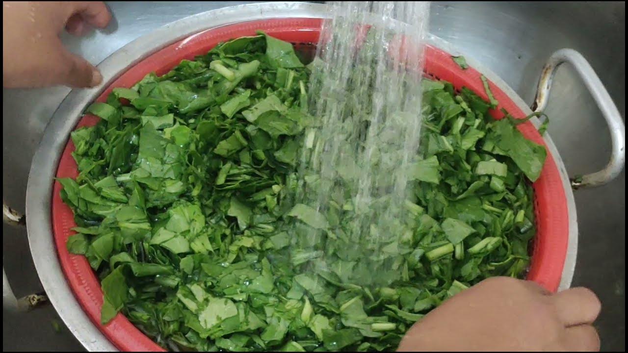 How to store spinach for a monthstore fresh Palak in fridgePalak ko