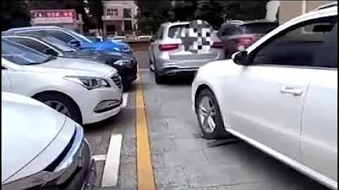 Chinese parking robot